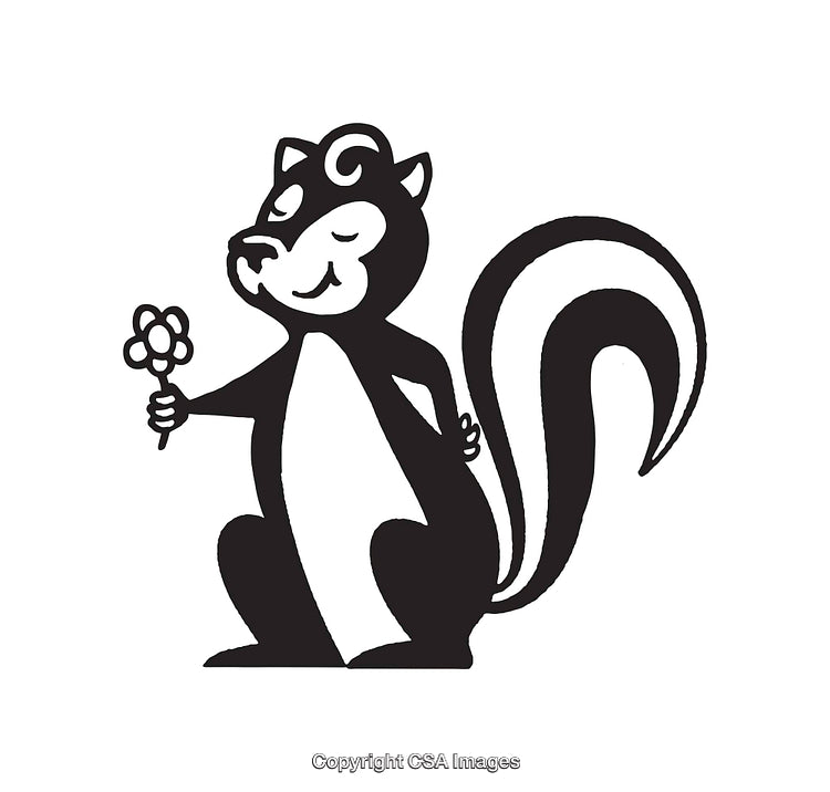 Cute Black And White Skunk Holding A Flower Art Illustration