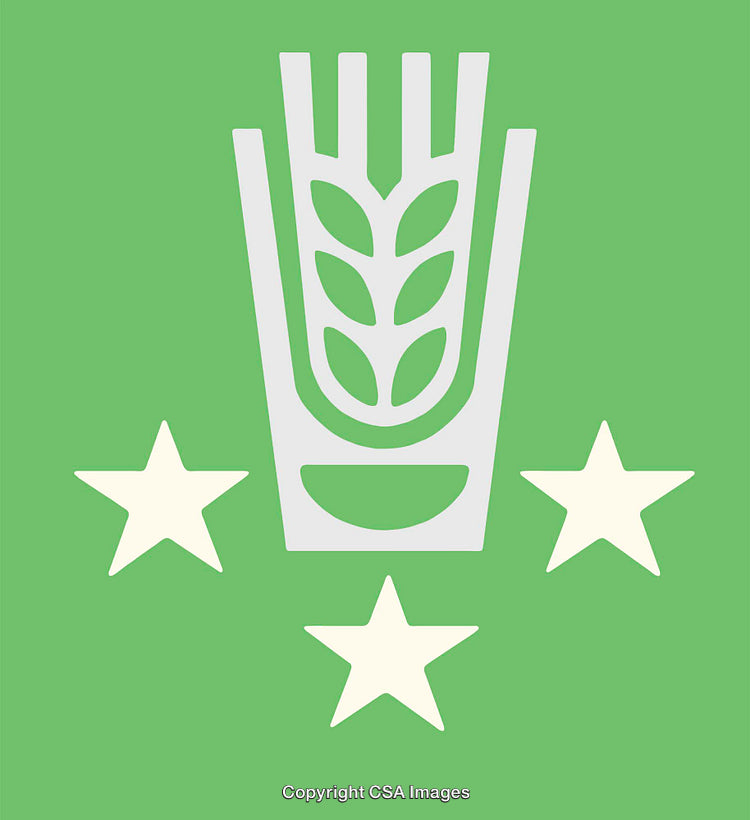 Stylized Illustration of Wheat Icon with Three Stars on Green Background