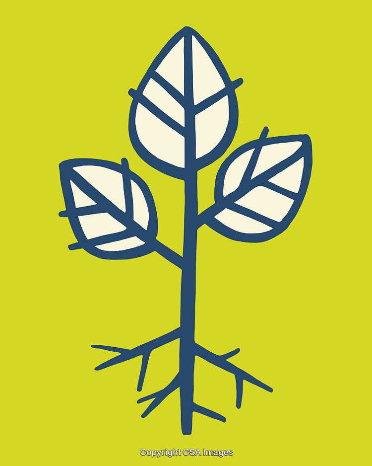 Minimalist Line Drawing of Plant with Roots and Leaves on Green Background