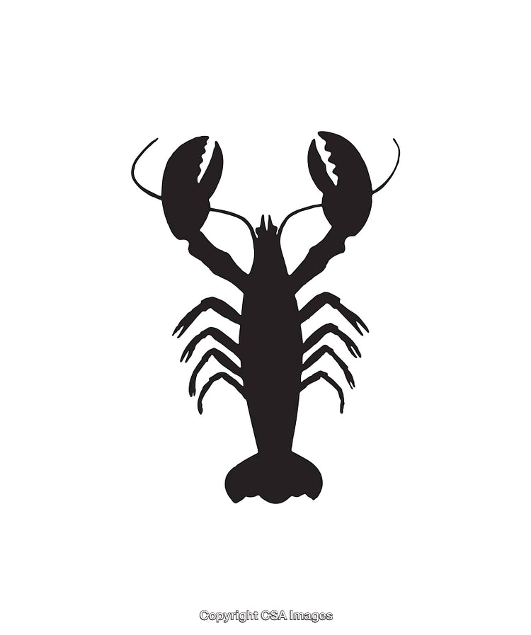Silhouette Illustration of a Lobster in Black on a White Background