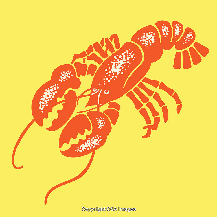 Colorful Lobster Design on a Bright Yellow Background Highlighting Marine Life