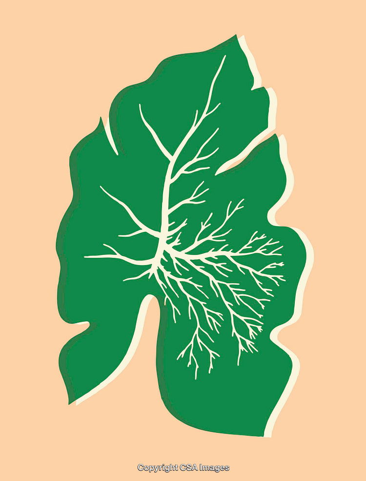 Abstract Green Leaf with Branch-Like Patterns on Peach Background