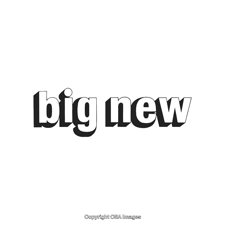 Bold Text Art Design with 'Big New' in Black and White Style