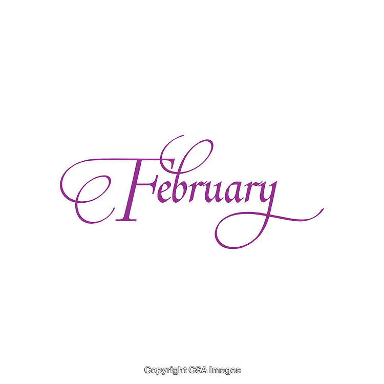Elegantly Written 'February' in Sophisticated Purple Calligraphy
