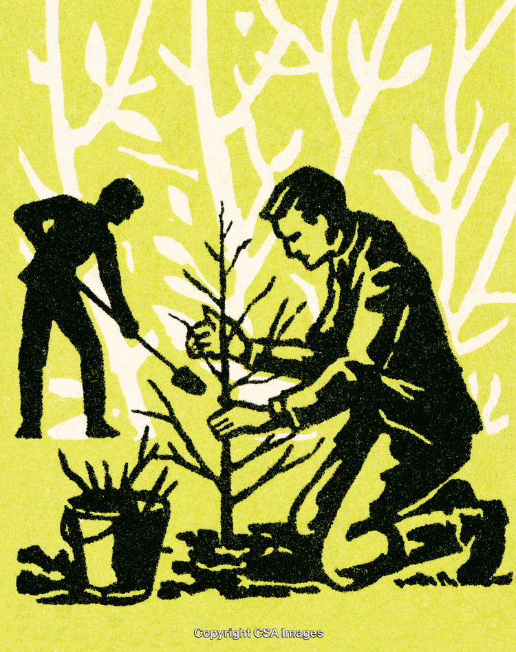 Men Working Together Planting Tree in Outdoors with Green Background