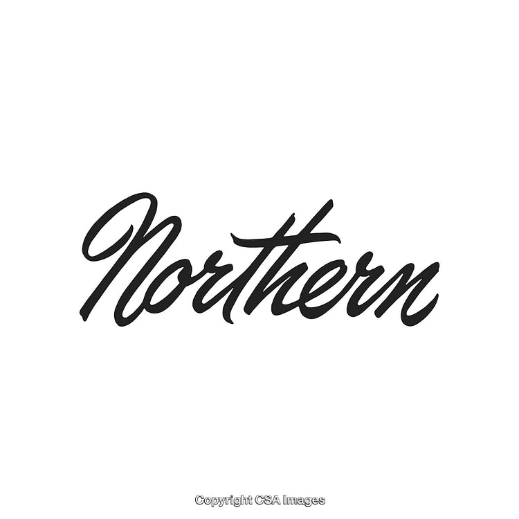Elegant Script Text Displaying Northern in Black on a White Background