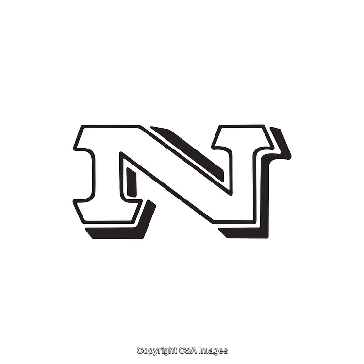 Stylized Black and White Bold Letter N in Retro Typography