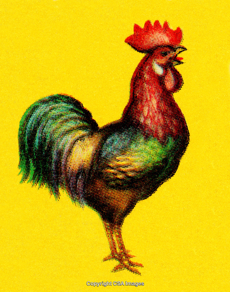Vivid Illustration of Rooster on Bright Yellow Background