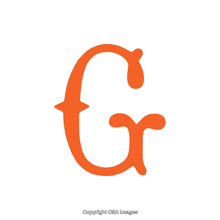 Orange Lowercase G Letter in Decorative Font Style on White Background