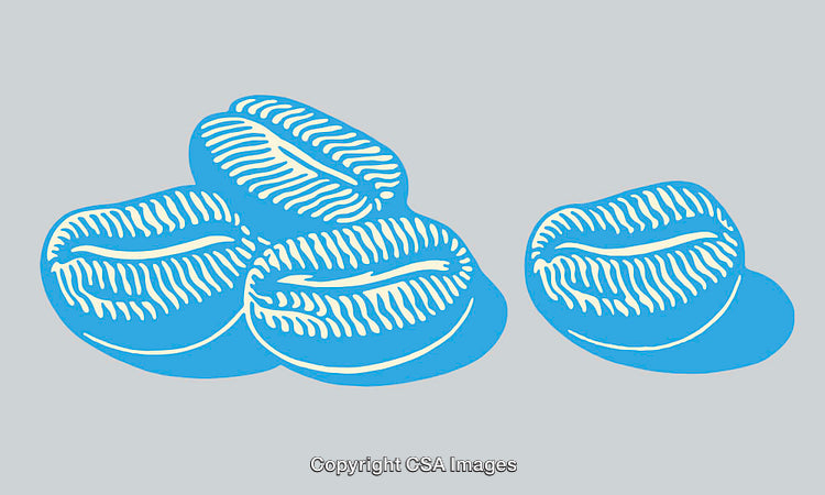 Blue Line Art Illustration of Coffee Beans on Simple Background