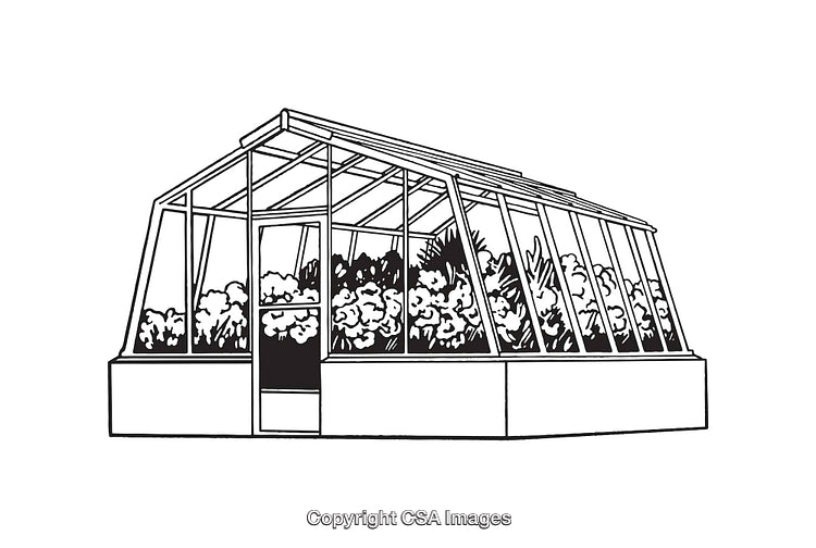 Black and White Line Art of a Greenhouse with Plants Inside