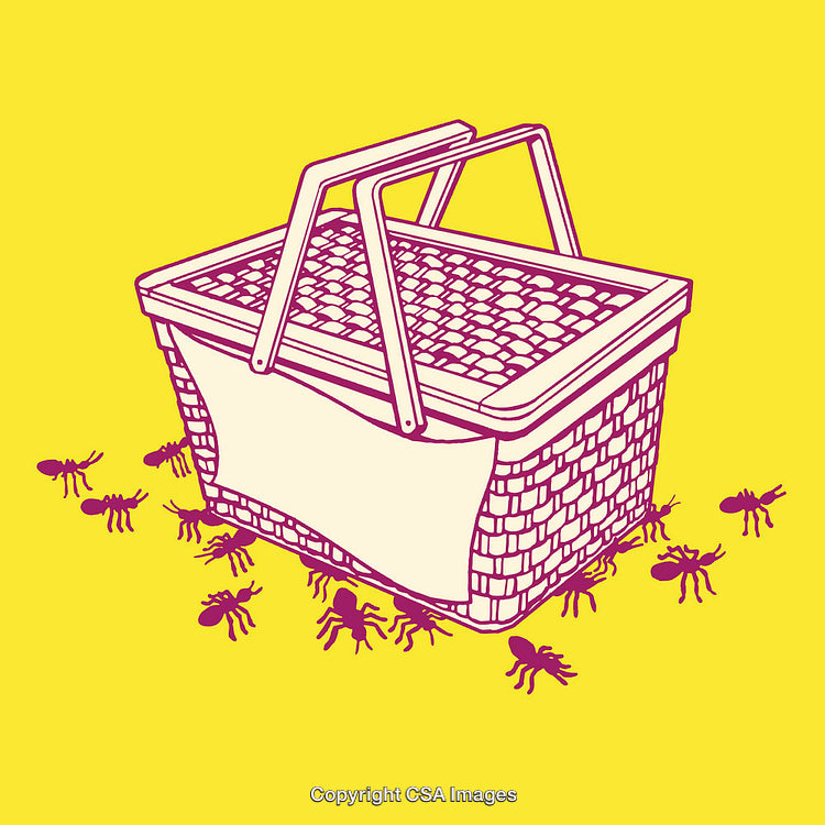 Line Art Wicker Basket with Ants on Vibrant Yellow Background