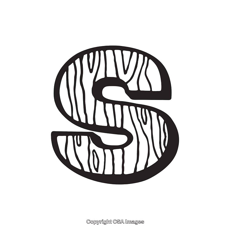 Letter S With Wooden Texture Design on White Background