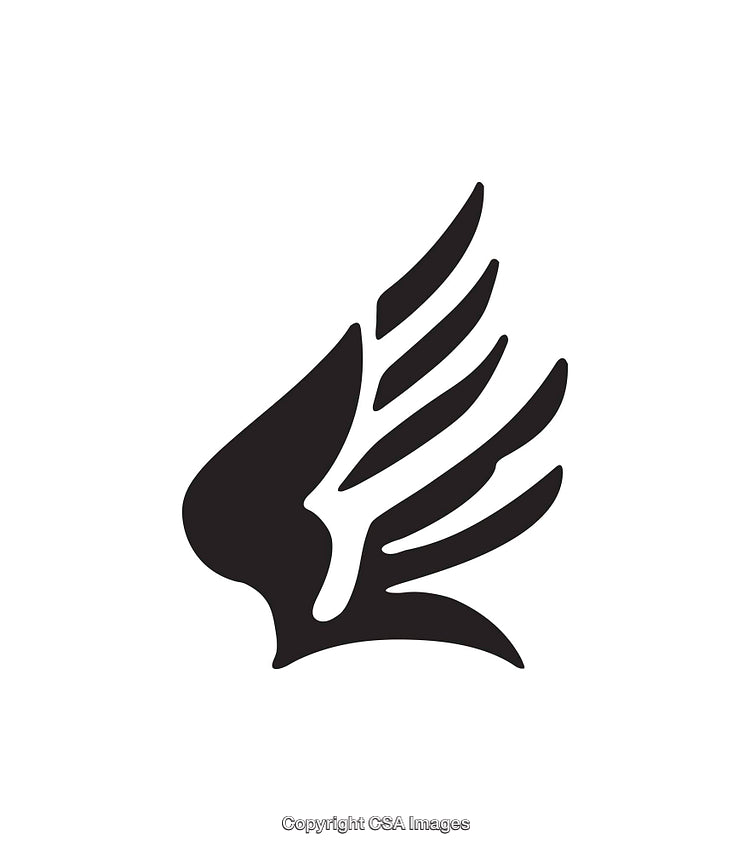 Minimalist Black and White Stylized Wing Icon Design