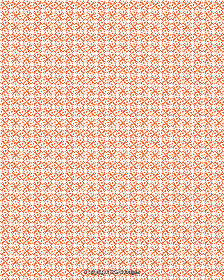 Orange Geometric Pattern Design Background with Intricate Floral Motif