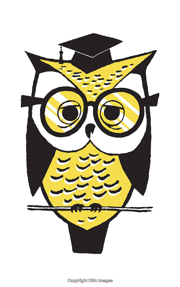 Academic Owl Illustration With Graduation Cap and Glasses in Yellow and Black