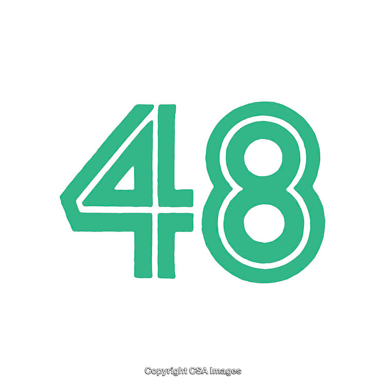 Large Green 48 Number Illustration on Plain White Background