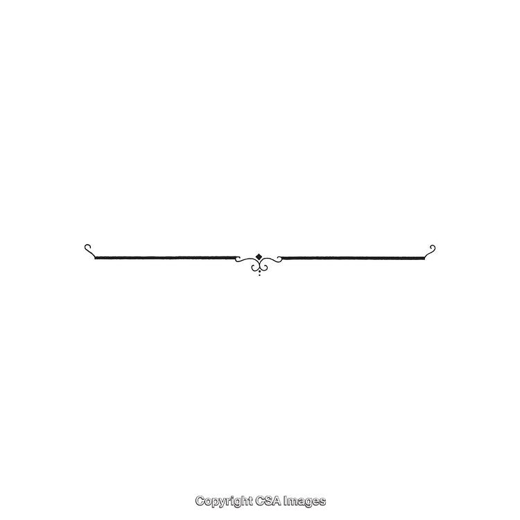 Elegant Decorative Ornamental Line Art Divider in Black and White Design