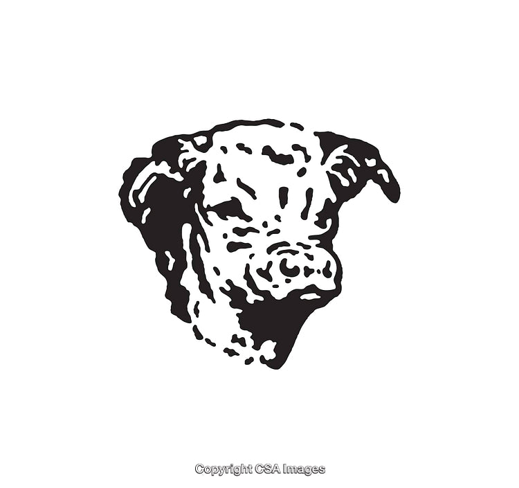 Detailed Black and White Line Art of a Dog's Head Illustration