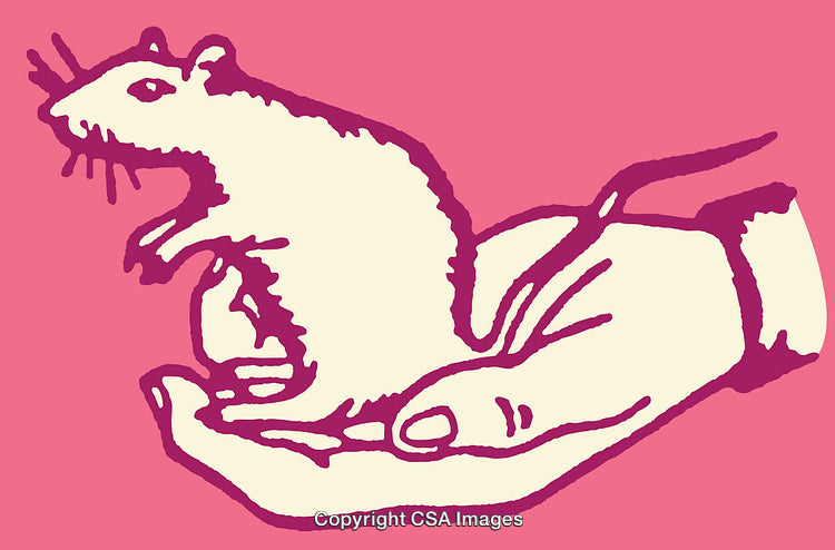 Colorful Line Art Illustration of a Rat in a Human Hand