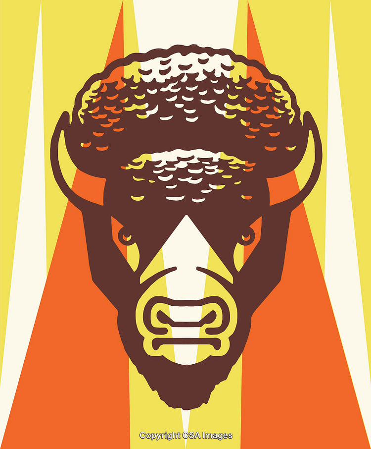 Abstract Illustration of a Buffalo in Bold Vibrant Tones with Retro Style