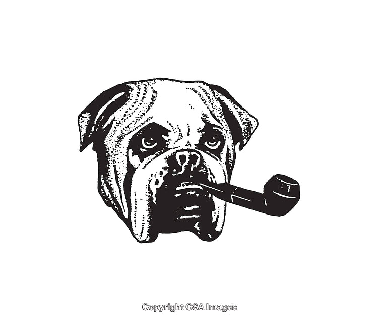 Vintage Illustration of Bulldog Smoking a Pipe in Monochrome Style
