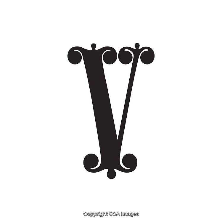Elegant Decorative Typography Featuring the Ornate Letter V in Bold Black