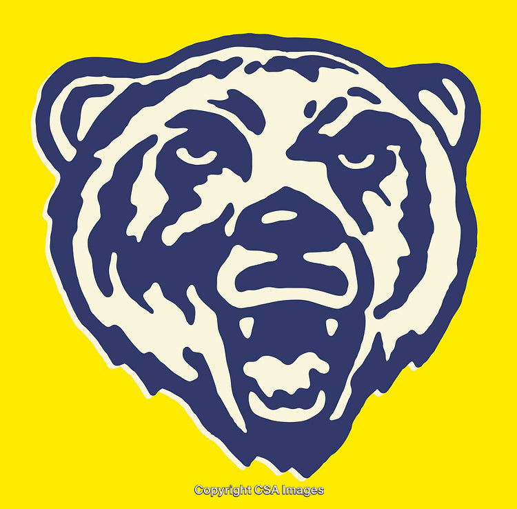 Bold Line Art of Bear Face on Vibrant Yellow Background