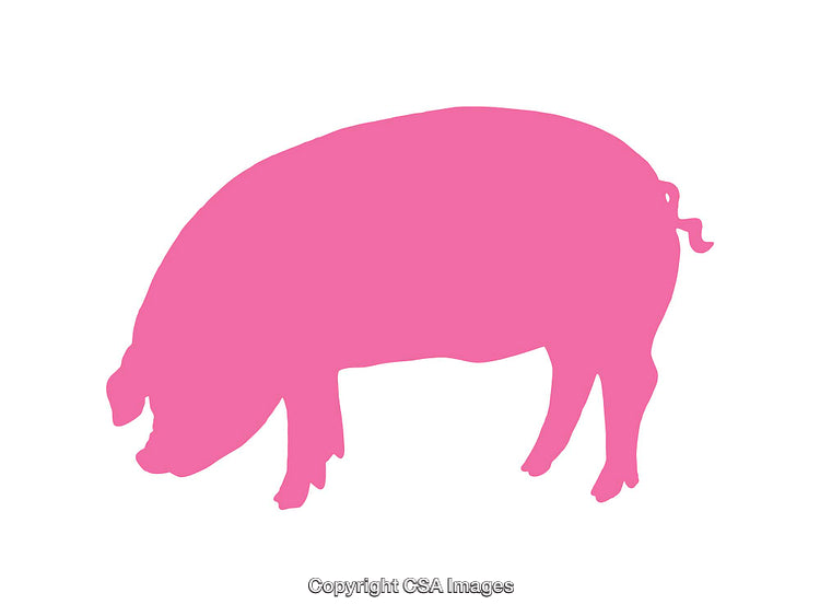 Pink Silhouette of a Pig Icon on a White Background