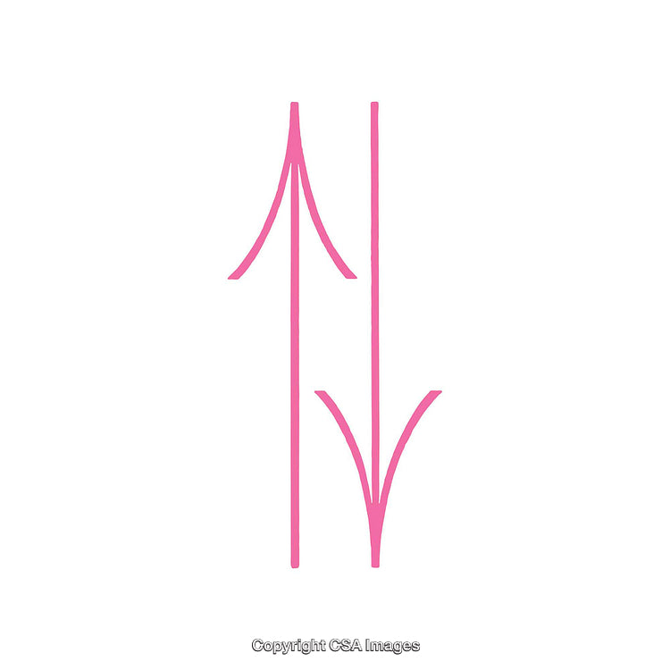 Minimalist Pink Dingbat Shapes on a Clean White Background