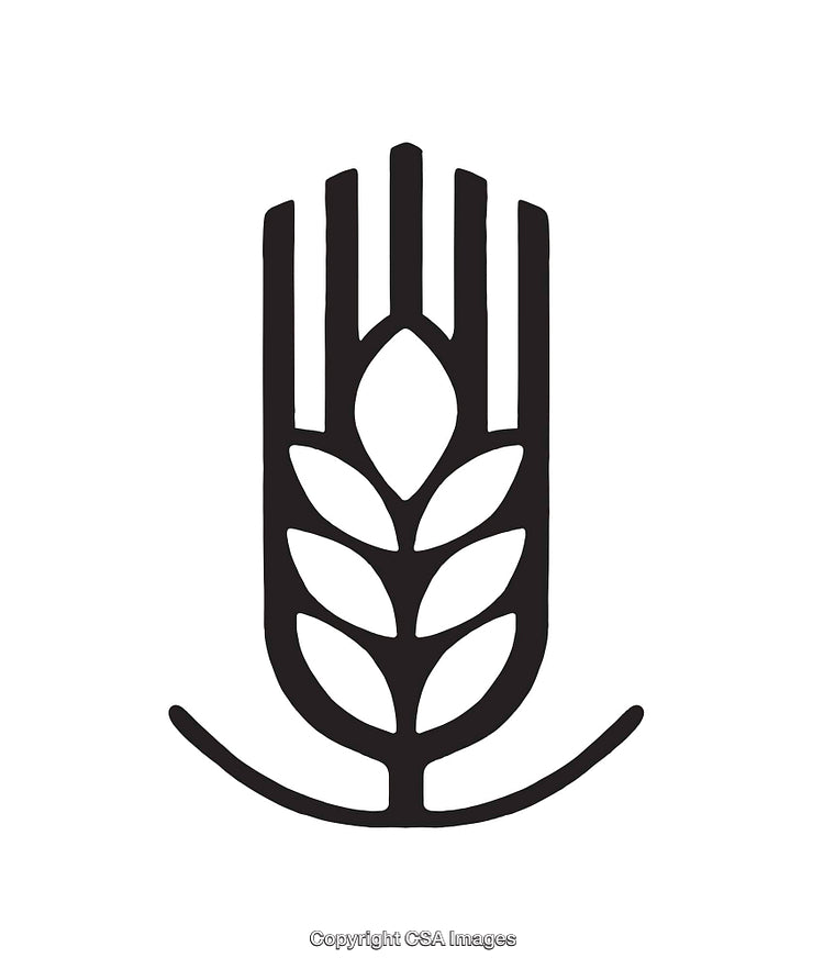Black And White Symbol Featuring Grain Ear With Minimalist Design