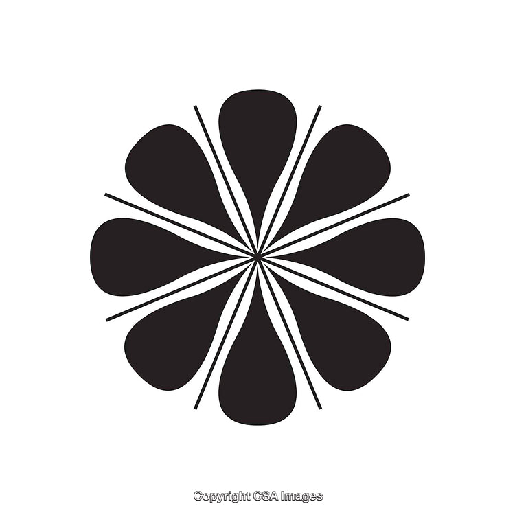 Symmetric Black and White Floral Abstract Design for Decor and Graphic Art