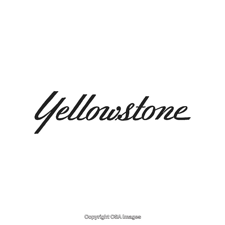 Elegant Yellowstone Calligraphy on Pristine White Background for Branding Use
