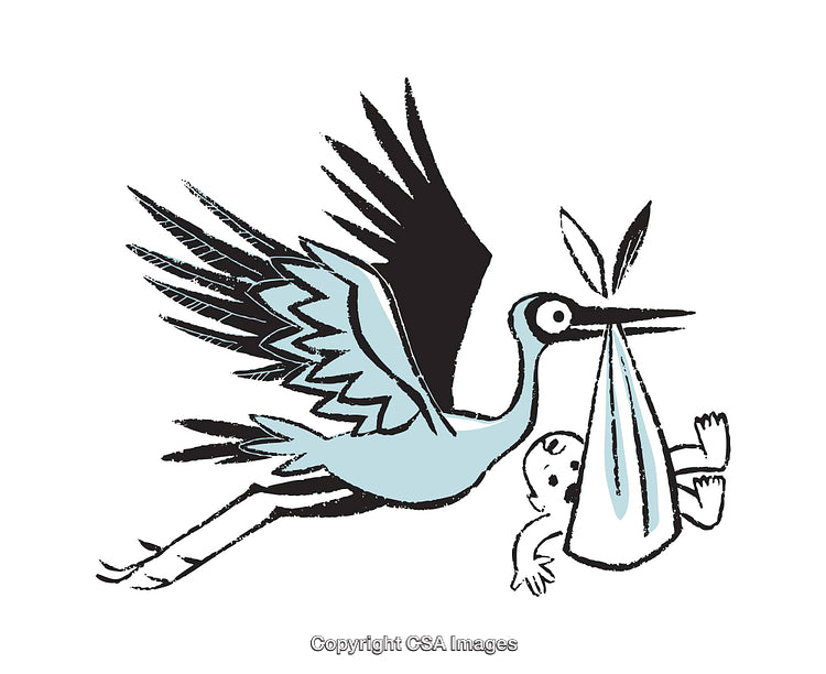 Whimsical Stork Illustration Delivering a Baby in a Colorful Cartoon Style