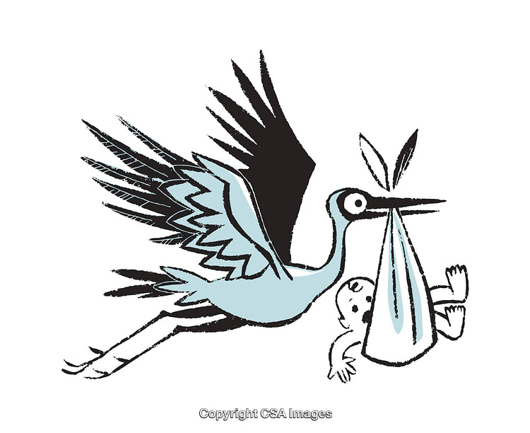 Whimsical Stork Illustration Delivering a Baby in a Colorful Cartoon Style