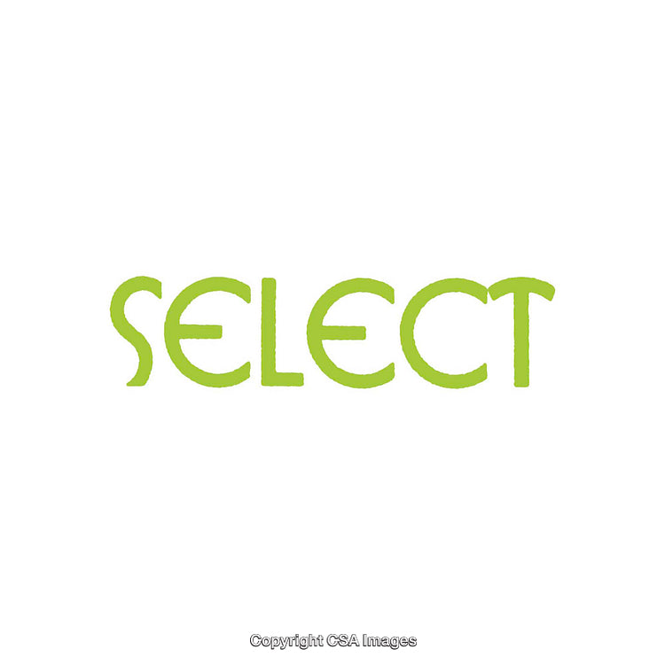 Green Text Illustration of the Word Select in Modern Style