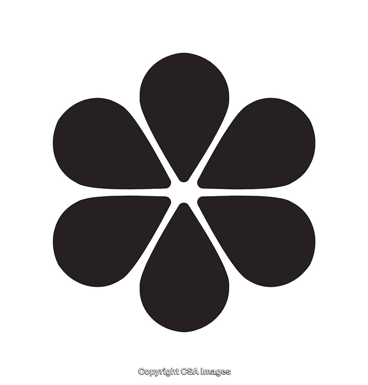 Minimalist Black Flower Icon Design with Petal Symmetry