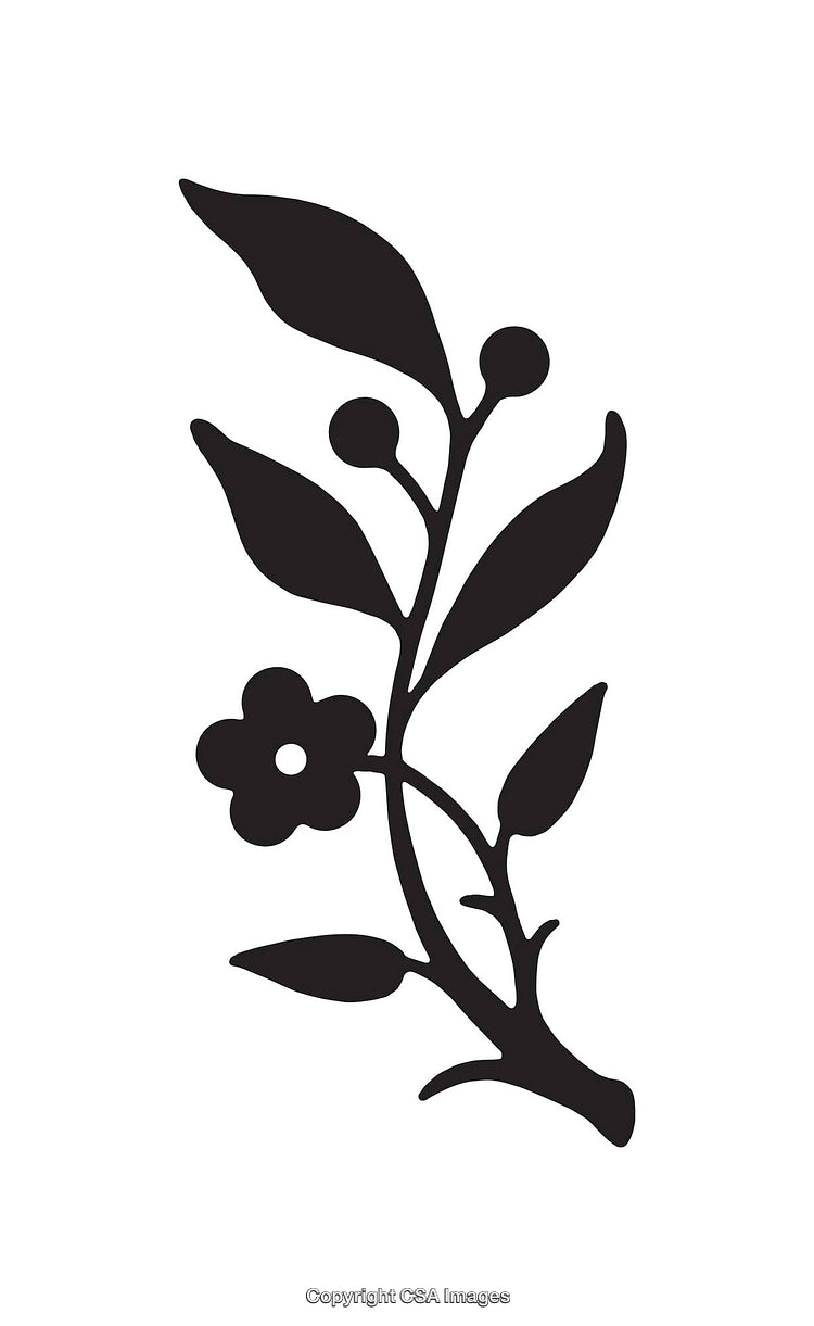Elegant Botanical Black and White Line Art Illustration