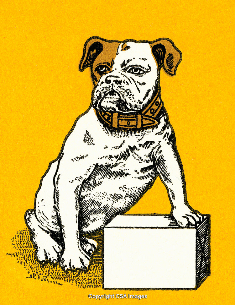 Retro Illustration of a Dog with a Collar on Yellow Background