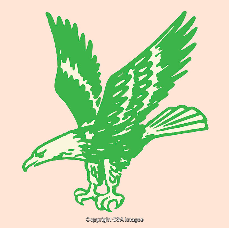 Green Hawk Illustration on Pastel Background