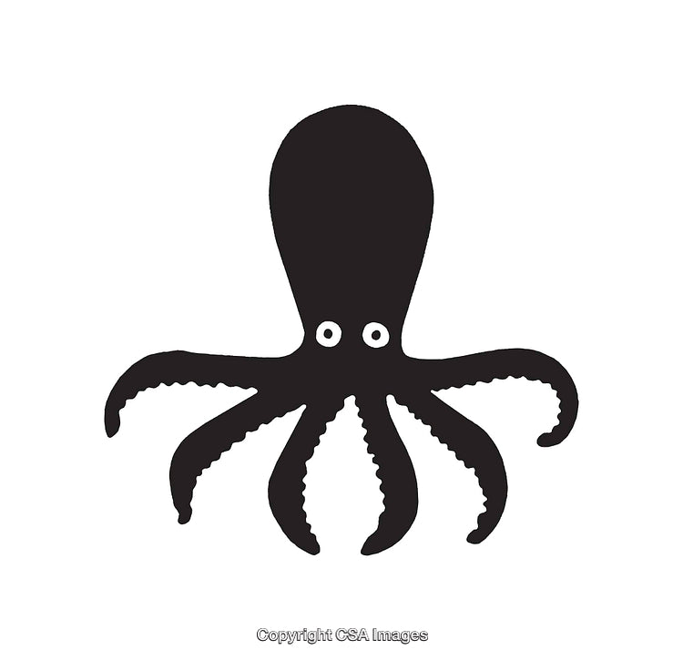Black Silhouette Octopus Illustration With Eight Arms
