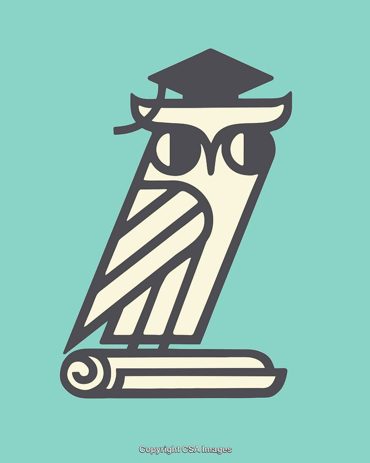 Minimalistic Illustration of Owl with Graduation Cap and Diploma