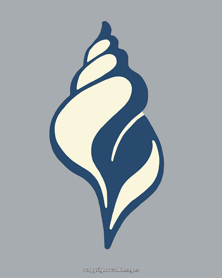 Elegant Nautical-Themed Illustration of a Simplistic Seashell Design