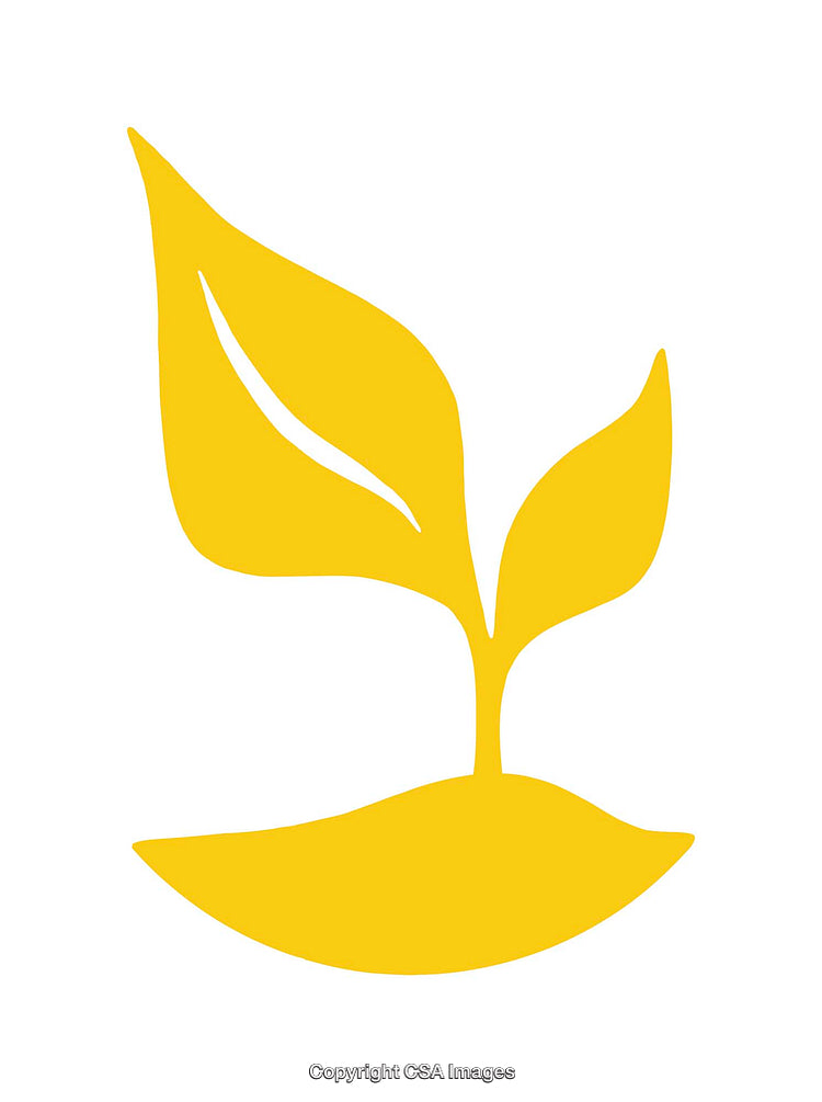 Yellow Sprouting Leaf Icon Representing Growth and Sustainability