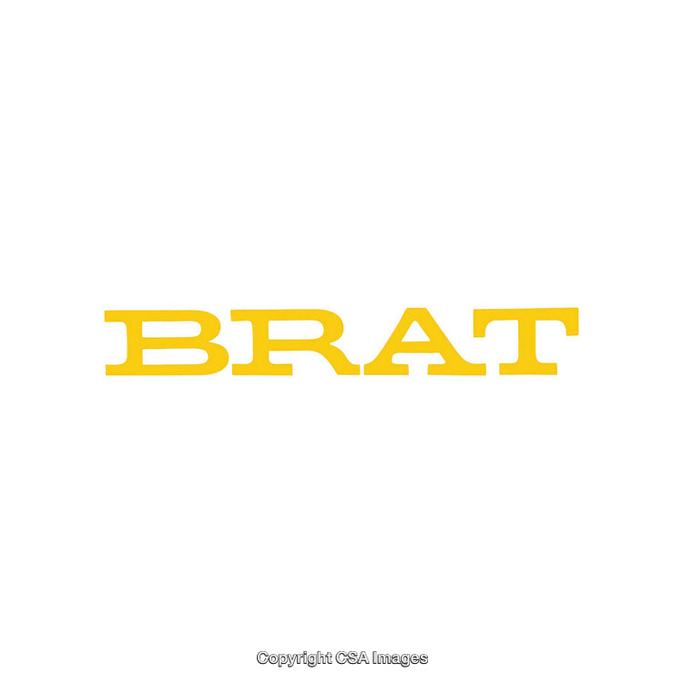 Yellow Bold Typography Text on White Background