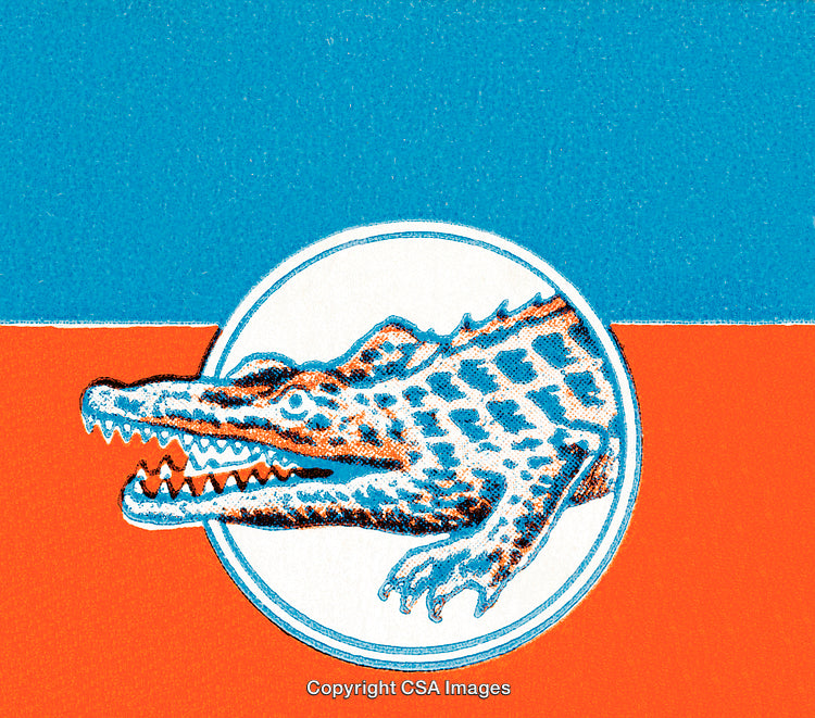 Retro Styled Crocodile Illustration with Colorful Geometric Background Design