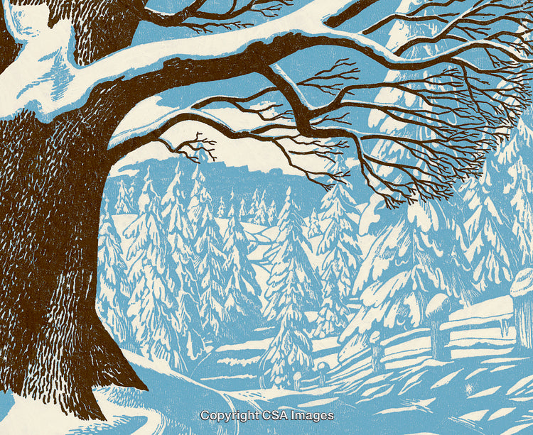 Winter Landscape With Snow-Covered Trees and a Majestic Foreground Tree