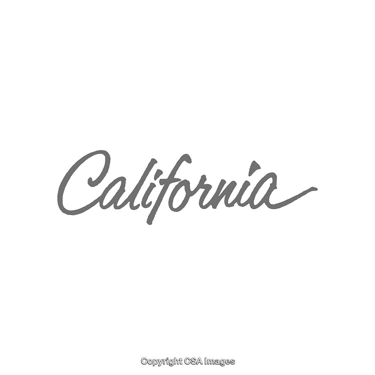 Calligraphic Gray Script of the Word 'California' on White Background