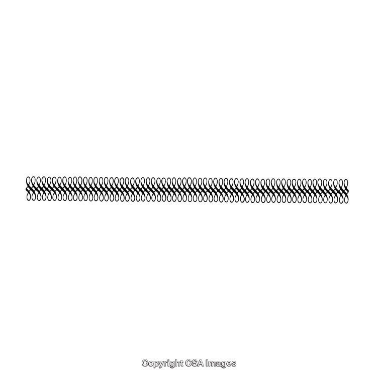 Black and White Decorative Border Design for Artistic Applications and Backgrounds