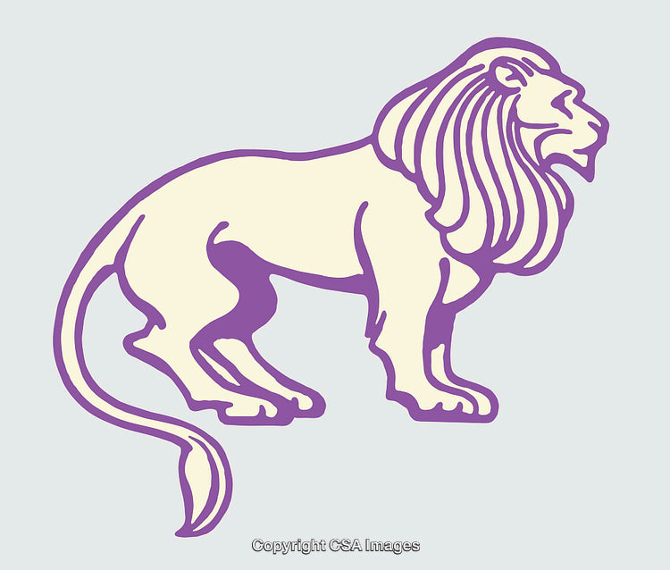 Stylized Line Art Illustration of a Majestic Lion Profile